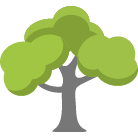 Brookfield Tree Removal Service