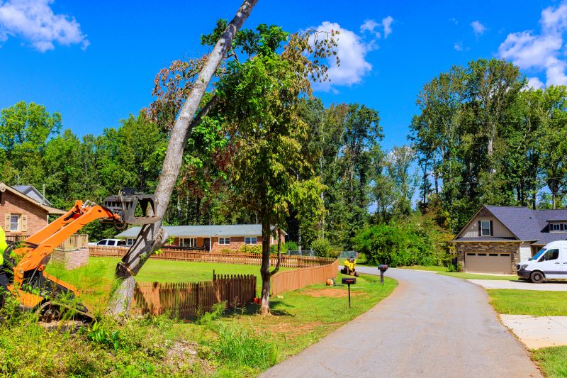 Equipment Used in Tree Removal