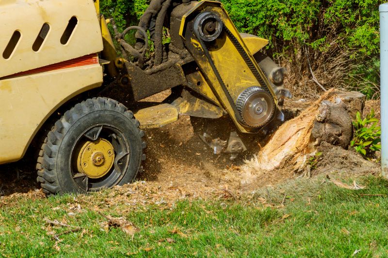 Stump Grinding Equipment